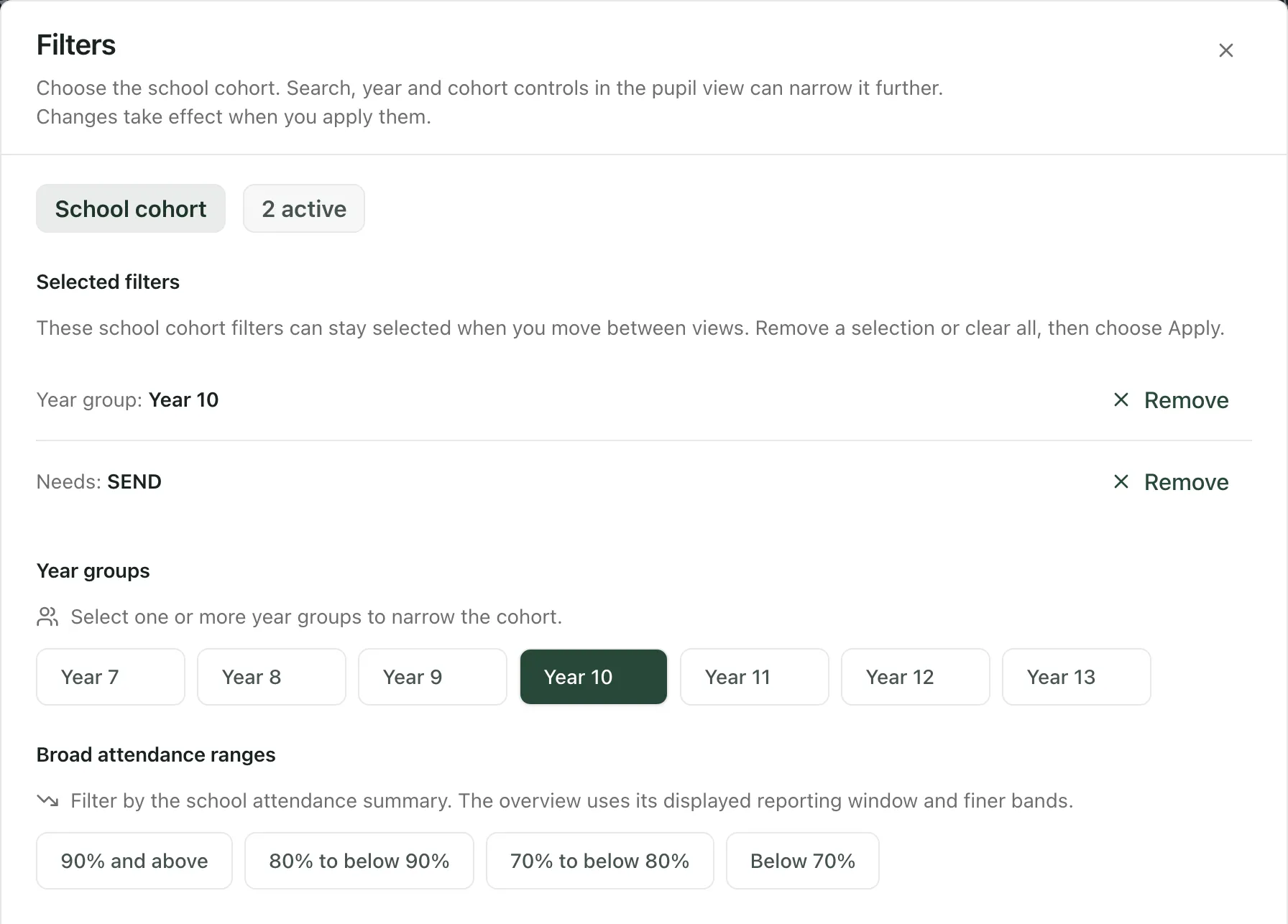The Filters window with Year 10 and SEND selected. Selected filters lists Year group: Year 10 and Needs: SEND, each with a Remove button.